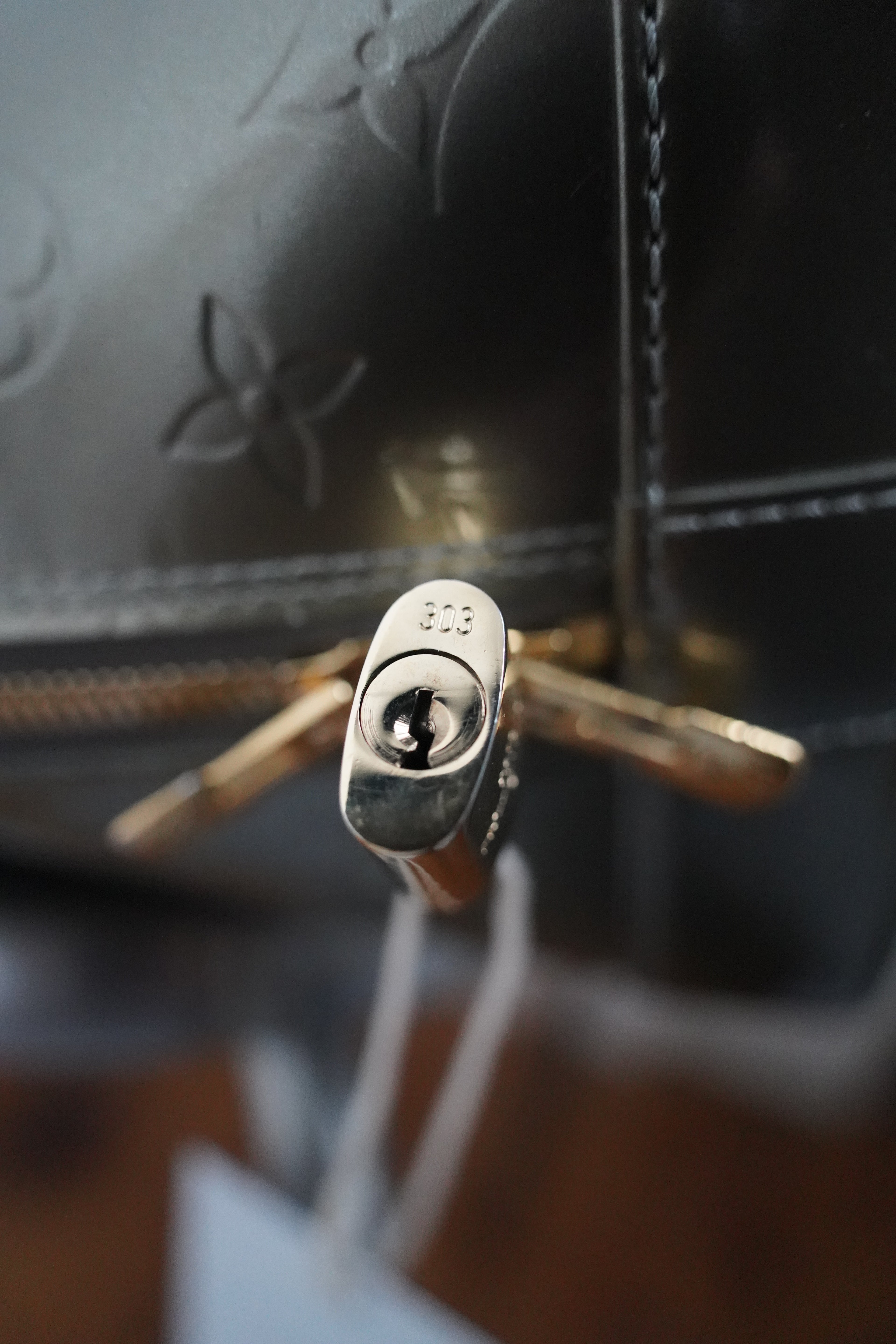 LOUIS VUITTON Vernis ALMA GM