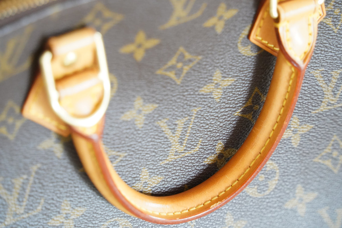 LOUIS VUITTON Alma PM Monogram Canvas